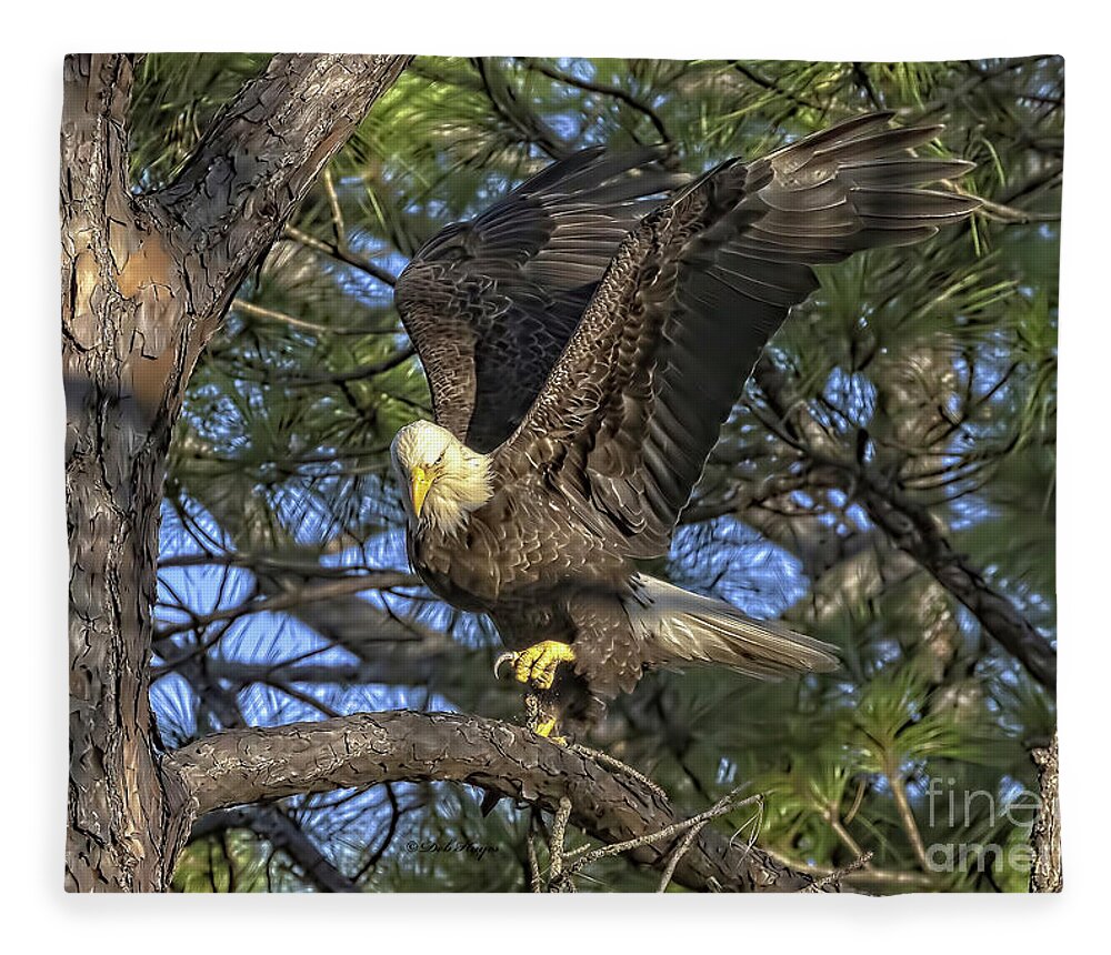 Eagles Fleece Blanket featuring the photograph Bald Eagle by DB Hayes