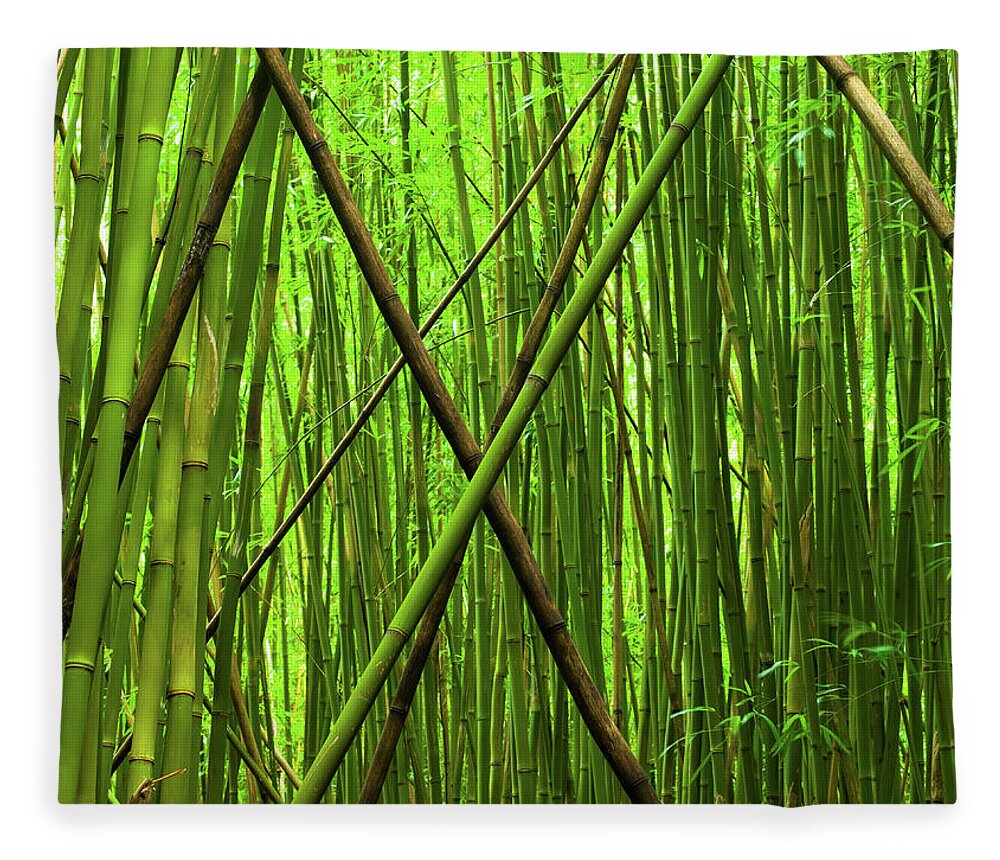 Maui Fleece Blanket featuring the photograph Bamboo X by Christopher Johnson
