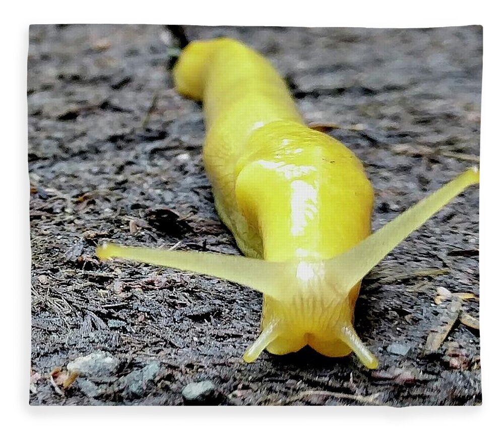 Yellow Fleece Blanket featuring the photograph Banana Slug by Misty Morehead