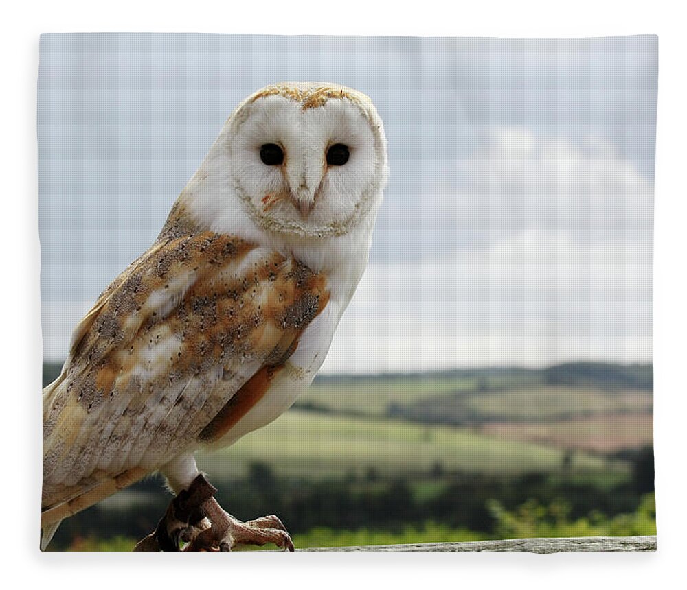Scenics Fleece Blanket featuring the photograph Barn Owl Looking Forwards With by Valmol48