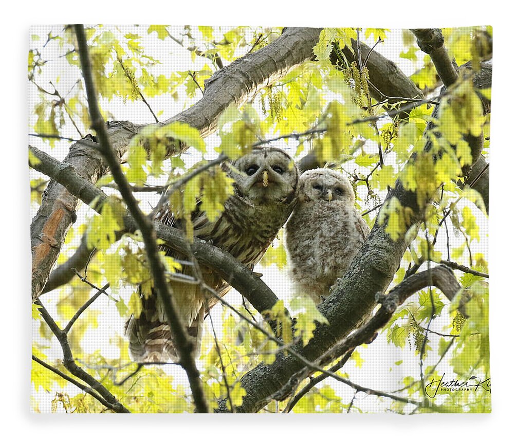 Baby Owl Fleece Blanket featuring the photograph Barred owl mother and child by Heather King