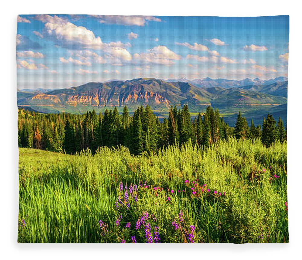 Beartooth Highway Fleece Blanket featuring the photograph Beartooth Mountains by Aaron Geraud