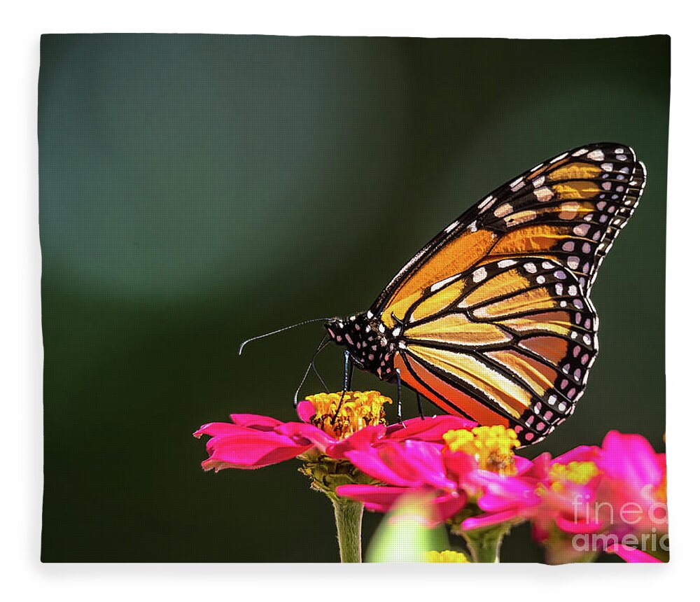 Cheryl Baxter Photography Fleece Blanket featuring the photograph Beautiful Monarch by Cheryl Baxter