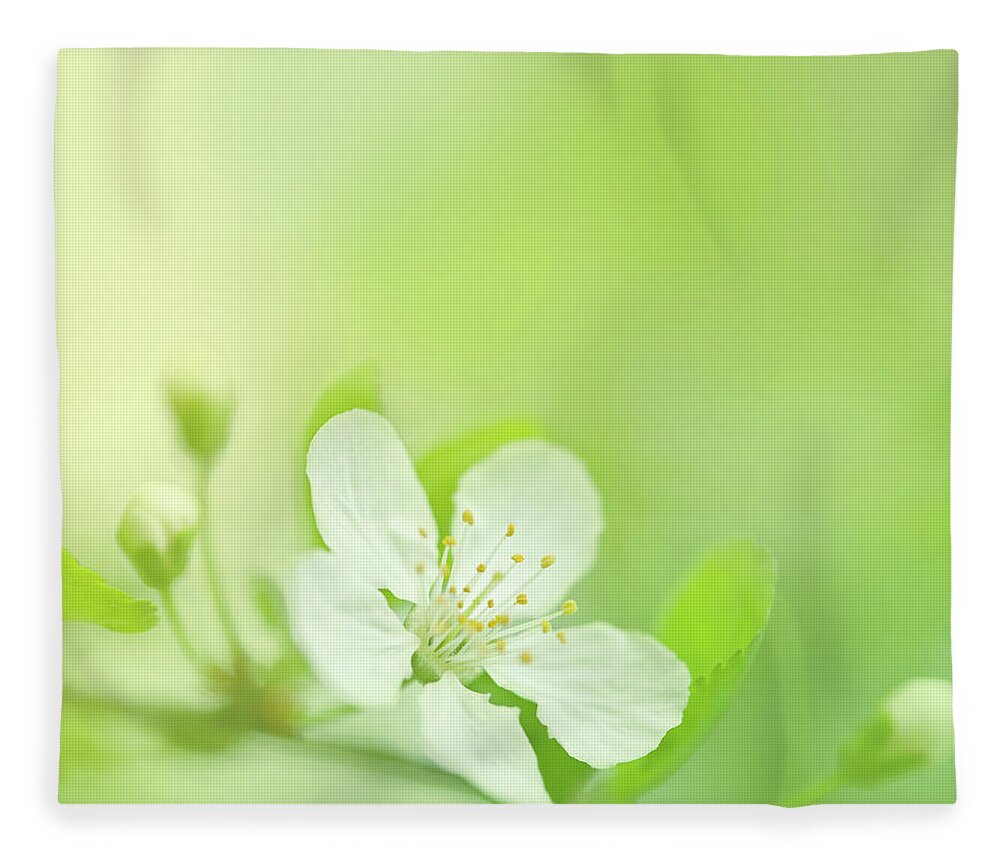 Easter Fleece Blanket featuring the photograph Beautiful Spring by Jeja