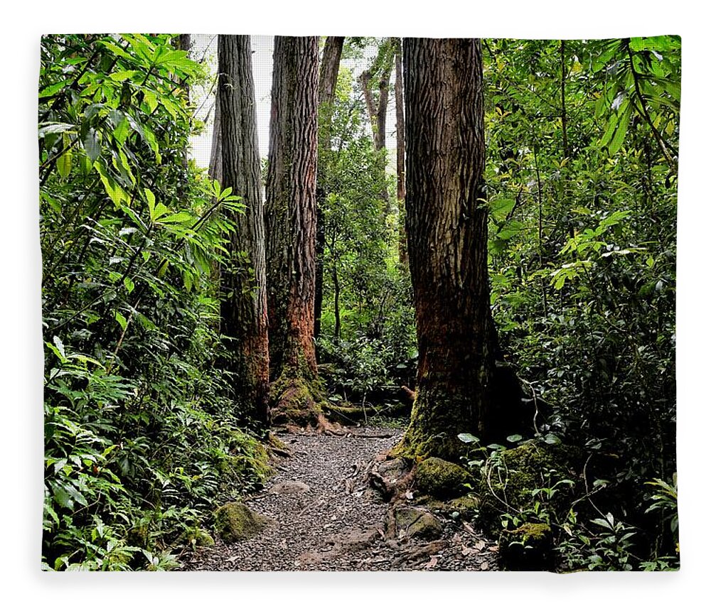 Magical Forest Fleece Blanket featuring the photograph Beckoning Forest Trail by Heidi Fickinger