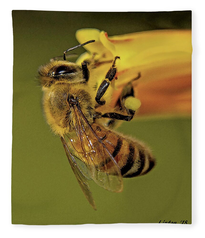 Bee Fleece Blanket featuring the photograph European Honey Bee by Larry Linton