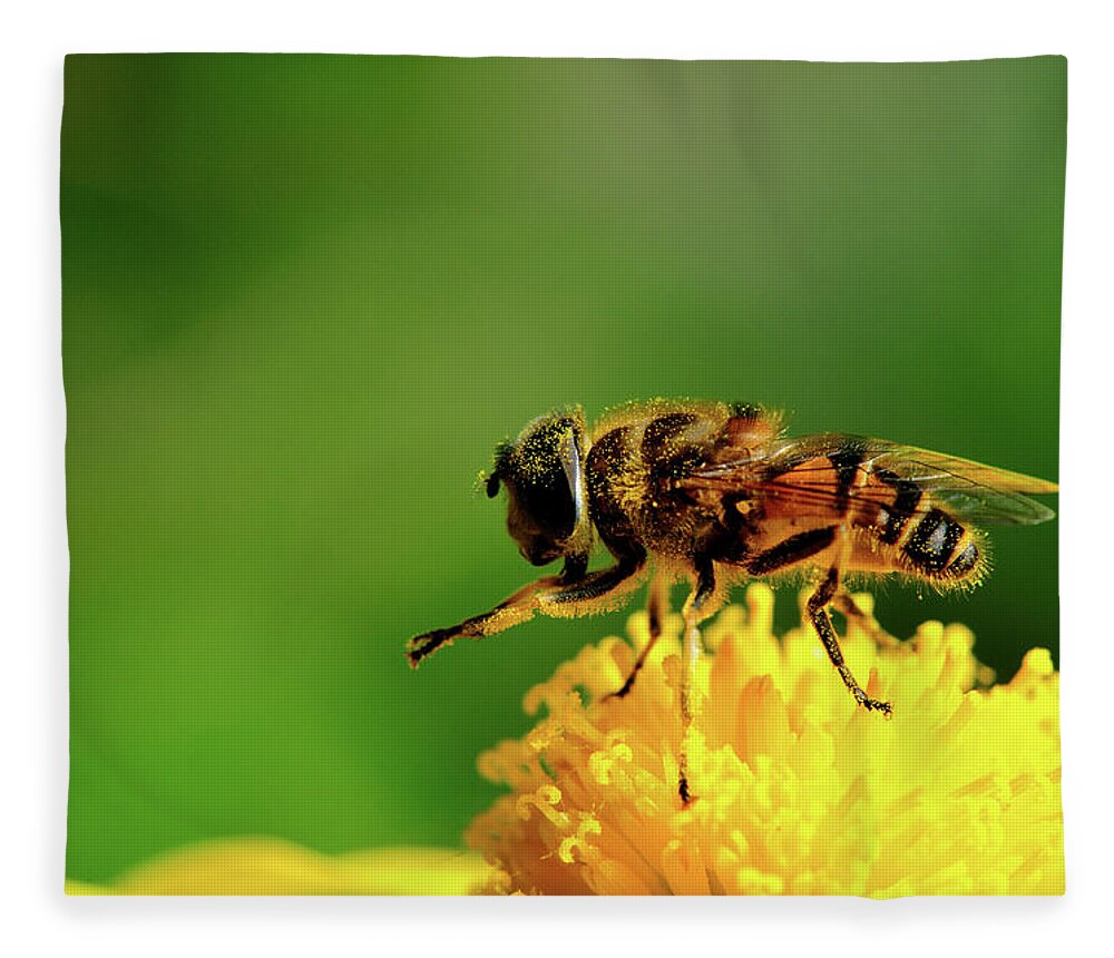 Taiwan Fleece Blanket featuring the photograph Bee On Sulphur Cosmos Flower by Pai-shih Lee