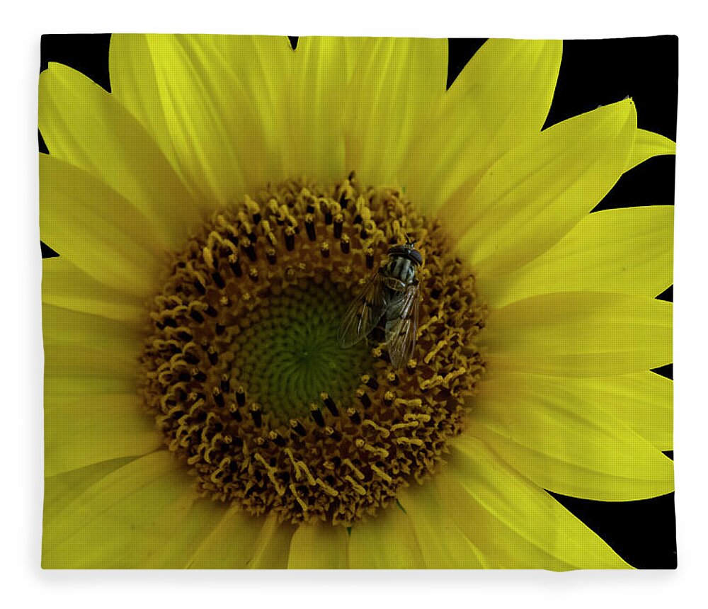 Sunflower Fleece Blanket featuring the photograph Bee On Sunflower 4170 by Cathy Kovarik