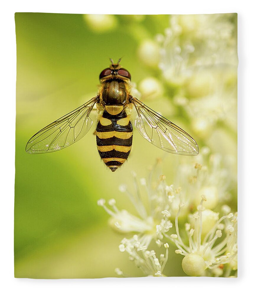 Nature Fleece Blanket featuring the photograph Bee Up by Bob Cournoyer