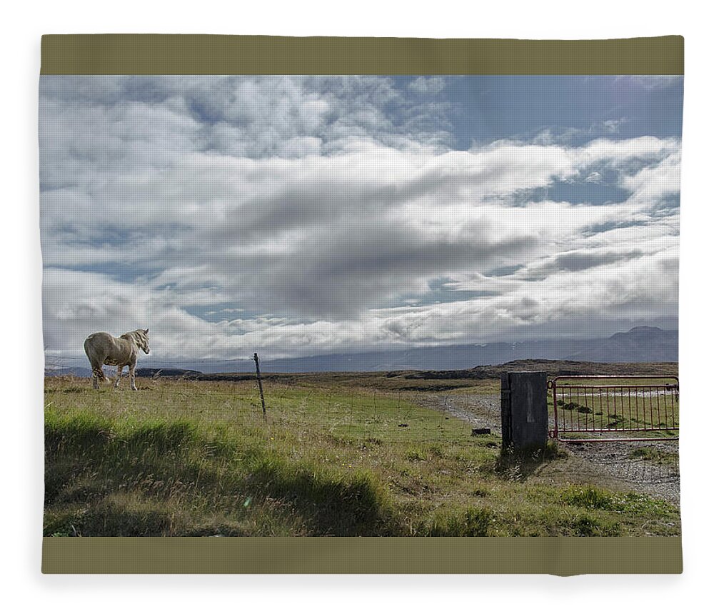 Iceland Fleece Blanket featuring the photograph Behold A Pale Horse by Jim Cook
