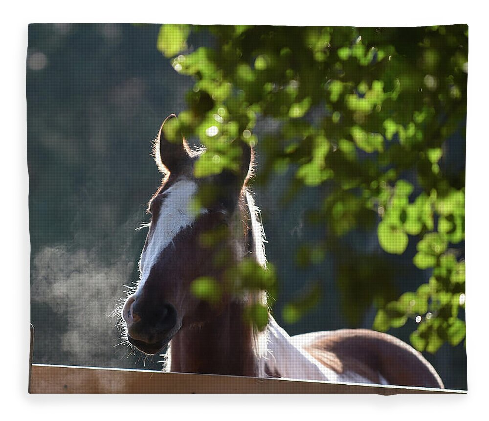 Rosemary Farm Fleece Blanket featuring the photograph Behr by Carien Schippers