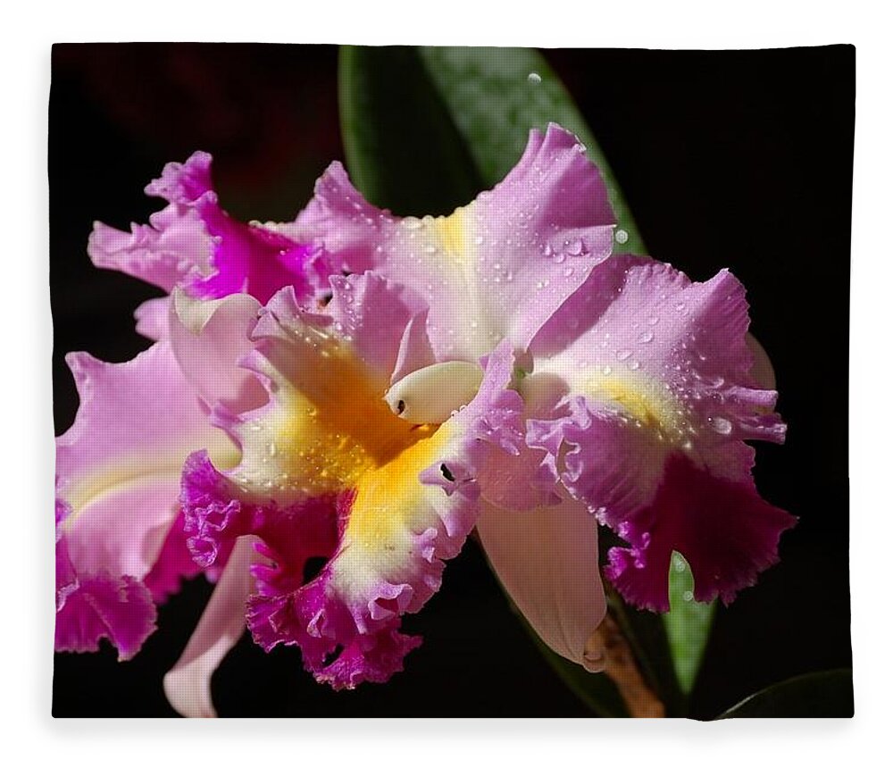 Orchid Fleece Blanket featuring the photograph Best Cattleya by Nancy Ayanna Wyatt