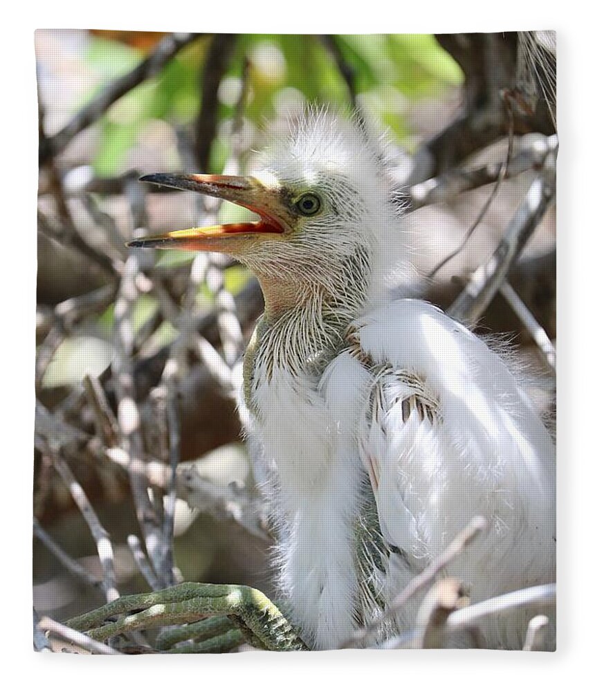 Great Egret Chick Fleece Blanket featuring the photograph Big Baby Great Egret by Carol Groenen