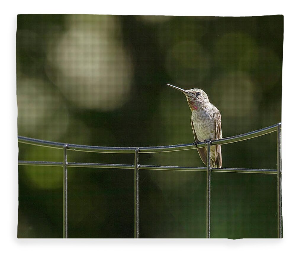 Anna's Fleece Blanket featuring the photograph Bird on a Wire by Catherine Avilez