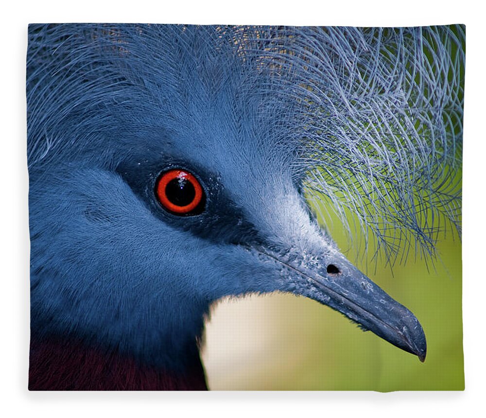 Animal Themes Fleece Blanket featuring the photograph Birds Eye View by By Doug Jobson
