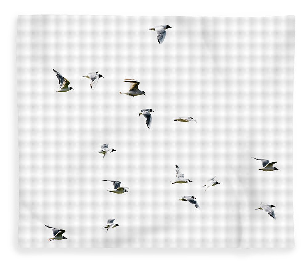 England Fleece Blanket featuring the photograph Birds In Flight by Magnusson, Roine