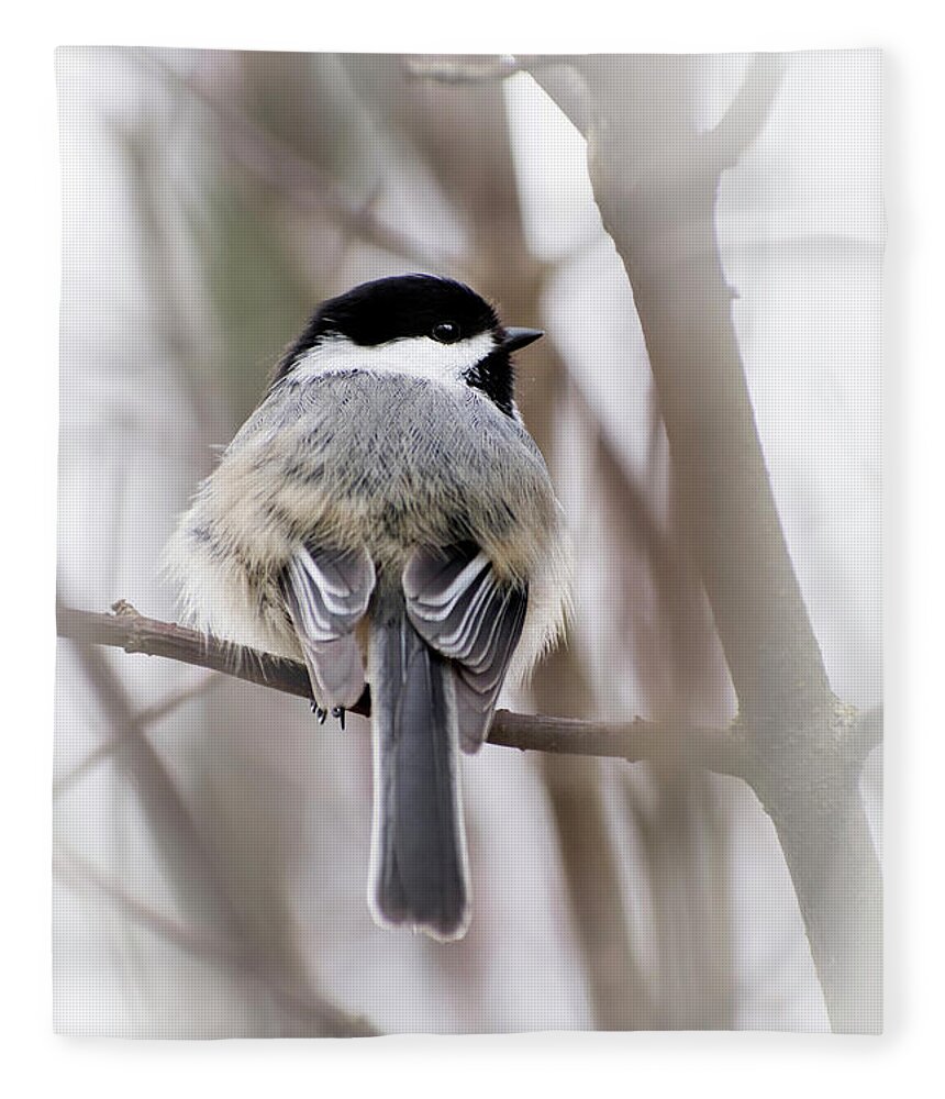 Chickadee Fleece Blanket featuring the photograph Black Capped Chickadee by Christina Rollo
