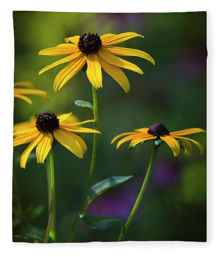 Black Eyed Susan Fleece Blanket featuring the photograph Black Eyed Susan by Christina Rollo