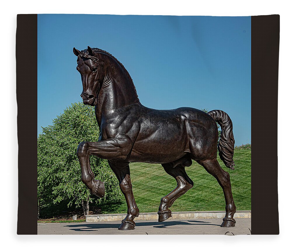 Bronze Fleece Blanket featuring the photograph Bronze Horse 2 by Phyllis Spoor