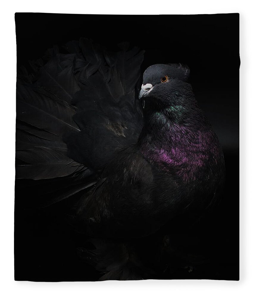 Pigeon Fleece Blanket featuring the photograph Black Indian Fantail Pigeon by Nathan Abbott