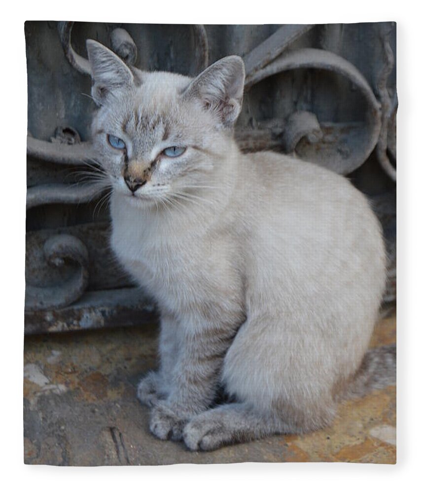 Cat Fleece Blanket featuring the photograph Blue Eyed by Thomas Schroeder
