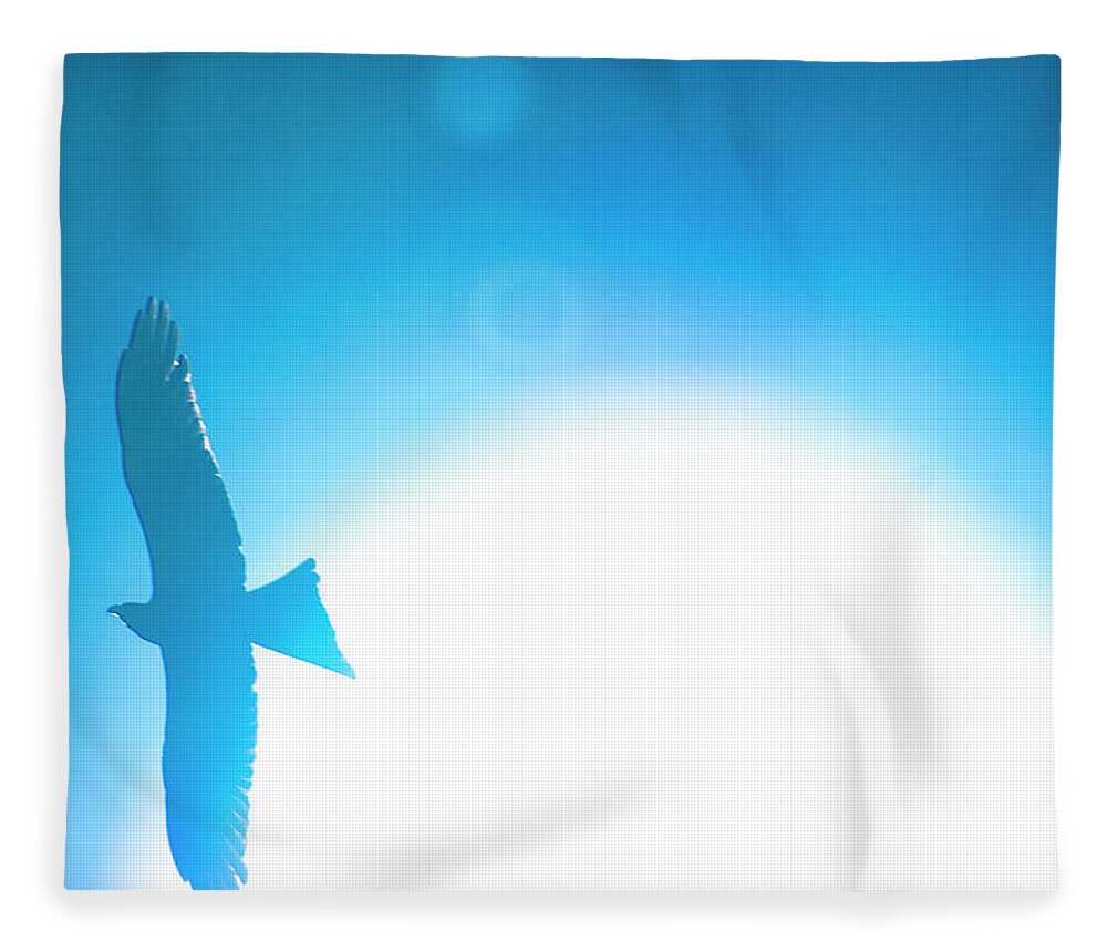 Animal Themes Fleece Blanket featuring the photograph Blue Hawk In Sun by Copyright Phil Alcorn