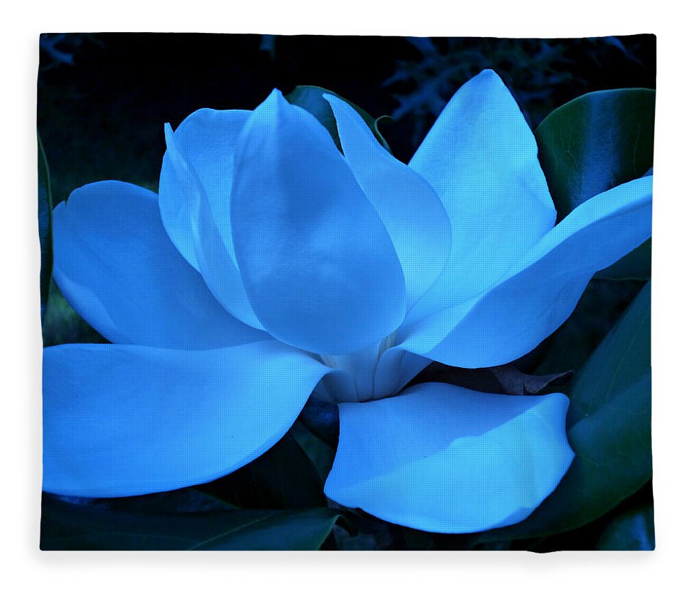 Magnolia Bloom Fleece Blanket featuring the photograph Blue Magnolia by Mike McBrayer
