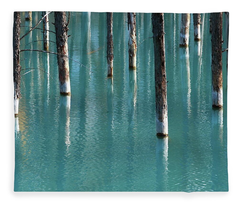 Tranquility Fleece Blanket featuring the photograph Blue Pond by Tsuntsun
