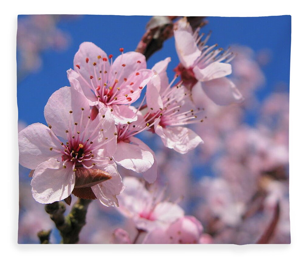 Sky Fleece Blanket featuring the photograph Blue Sky Blossom by Atwag