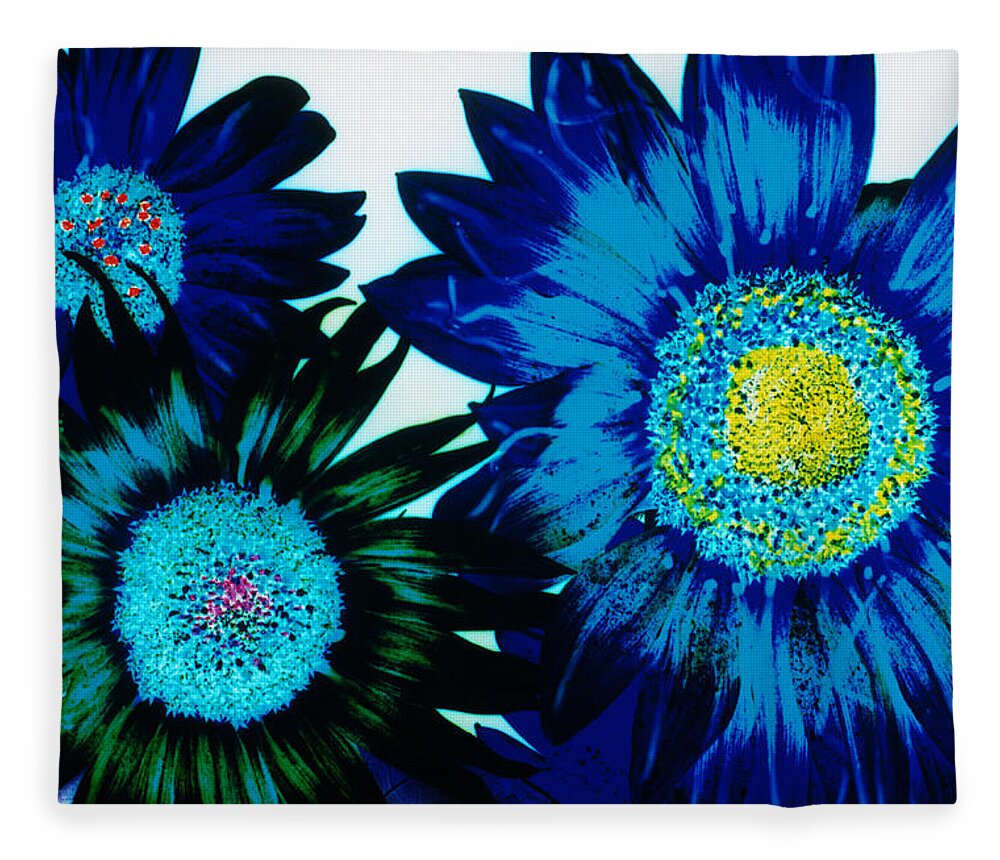 White Background Fleece Blanket featuring the digital art Blue Sunflowers by Steve Satushek