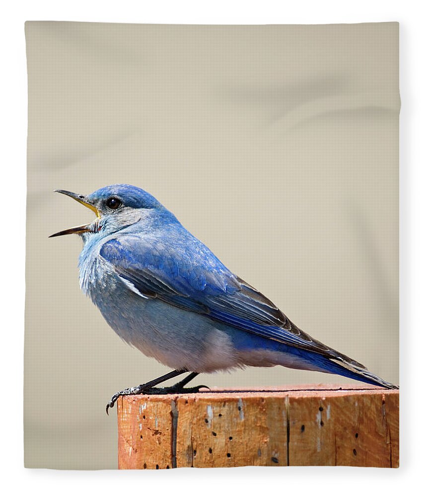Season Fleece Blanket featuring the photograph Bluebird Singing by Judilen