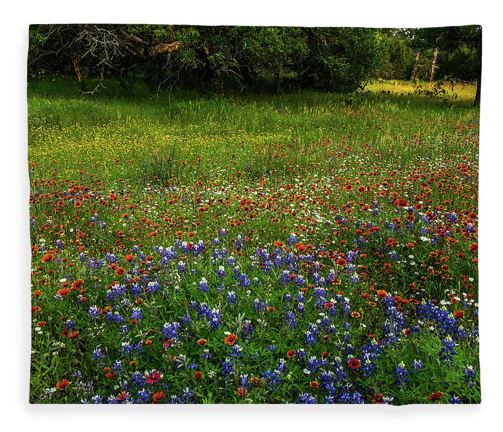 Texas Wildflowers Fleece Blanket featuring the photograph Bluebonnet Glory by Johnny Boyd