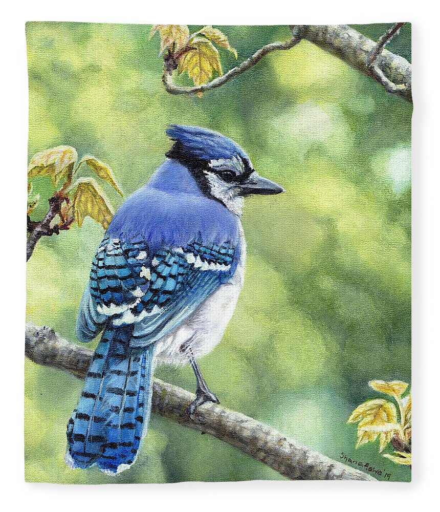 Blue Jay Fleece Blanket featuring the painting Blue Jay in Spring by Shana Rowe Jackson
