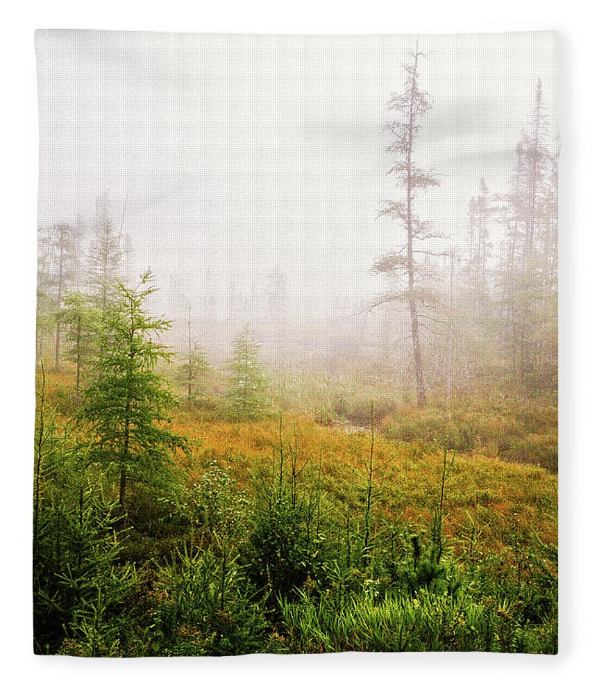 Autumn Fleece Blanket featuring the photograph Boreal On County Road 7 by Cynthia Dickinson