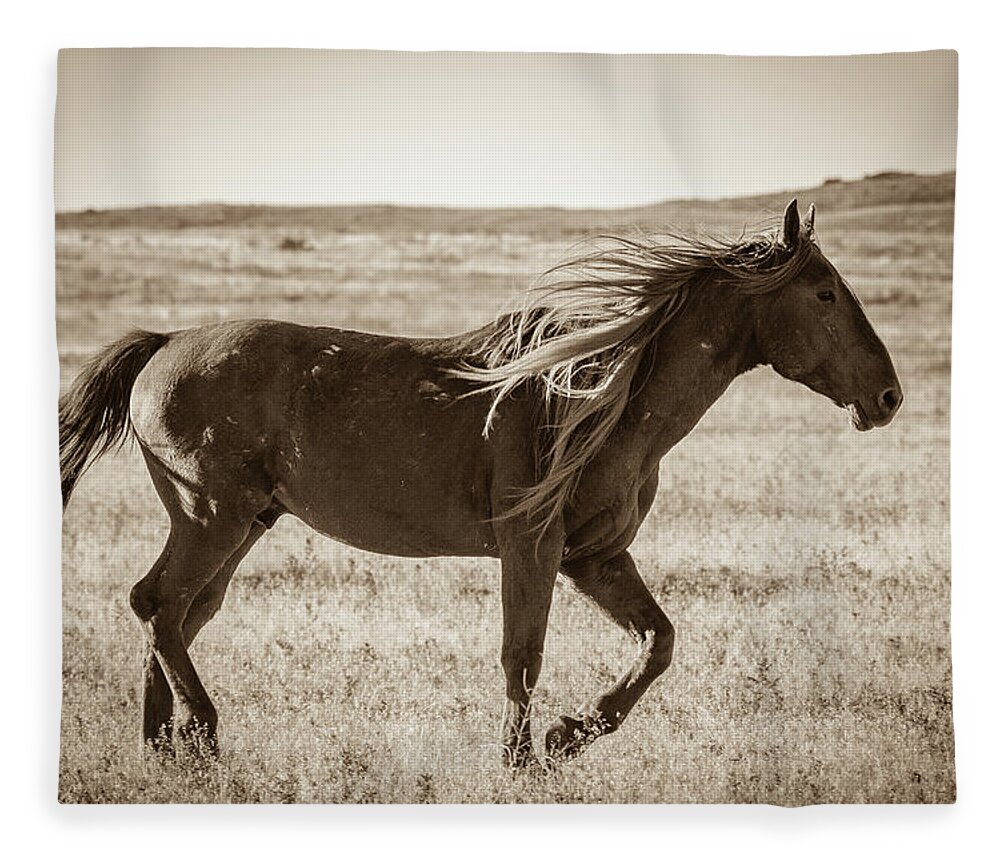  Wild Horses Fleece Blanket featuring the photograph Born to be wild by Mary Hone