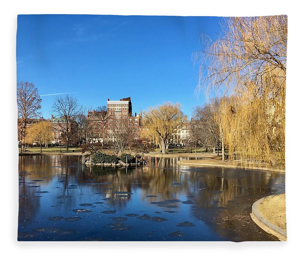 Boston Fleece Blanket featuring the photograph Boston Common in Winter by Anne Sands
