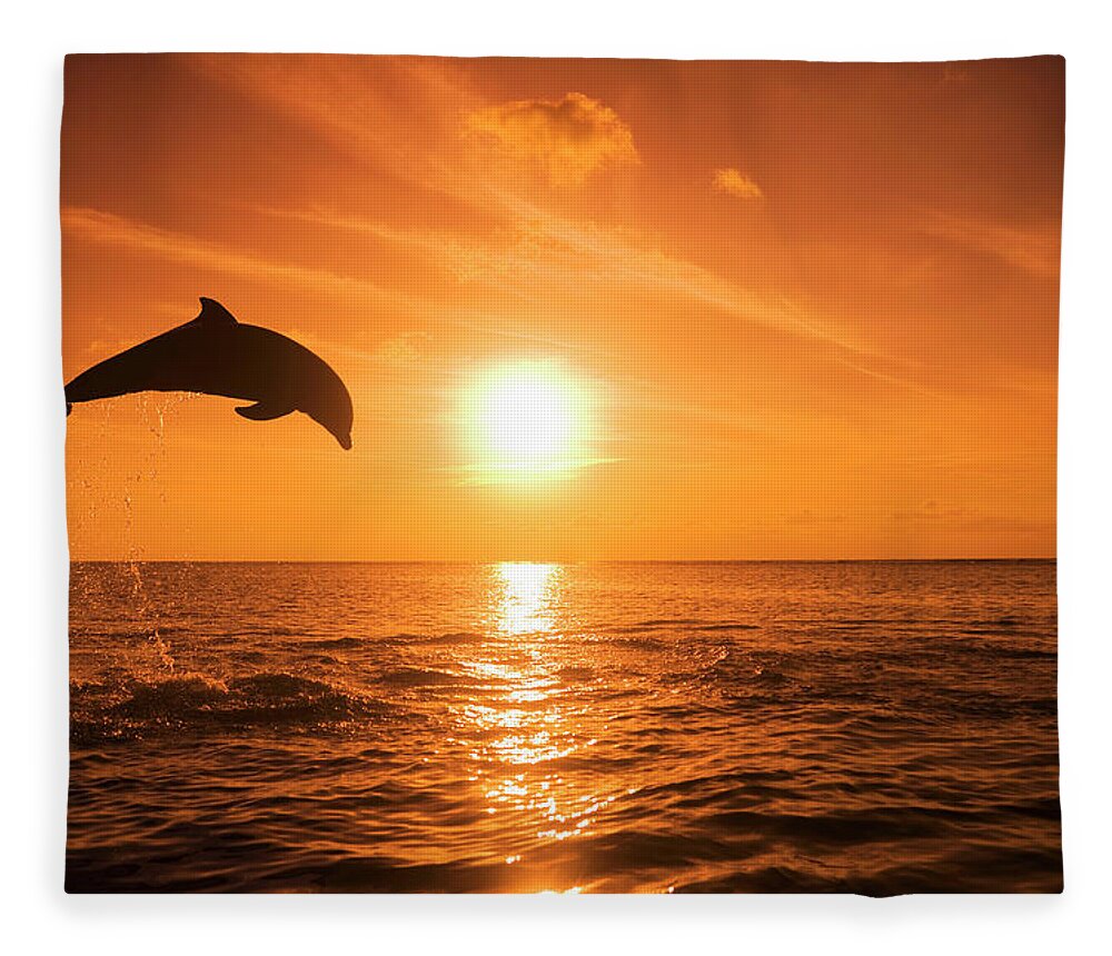 Orange Color Fleece Blanket featuring the photograph Bottlenose Dolphin Tursiops Truncatus by Rene Frederick