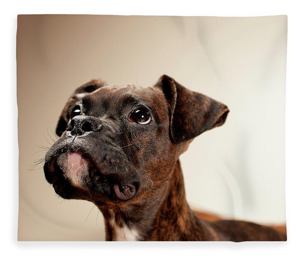 Animal Themes Fleece Blanket featuring the photograph Boxer Puppy by Chad Latta