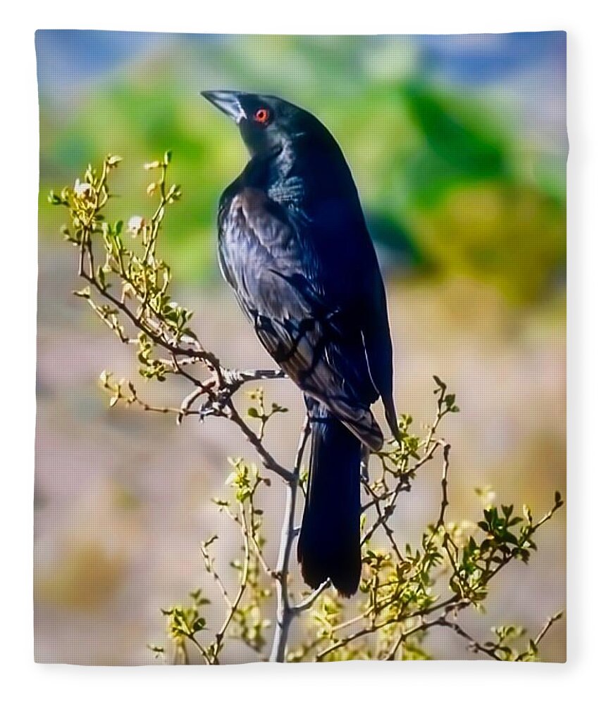 Arizona Fleece Blanket featuring the photograph Bronzed Cowbird on Creosote by Judy Kennedy