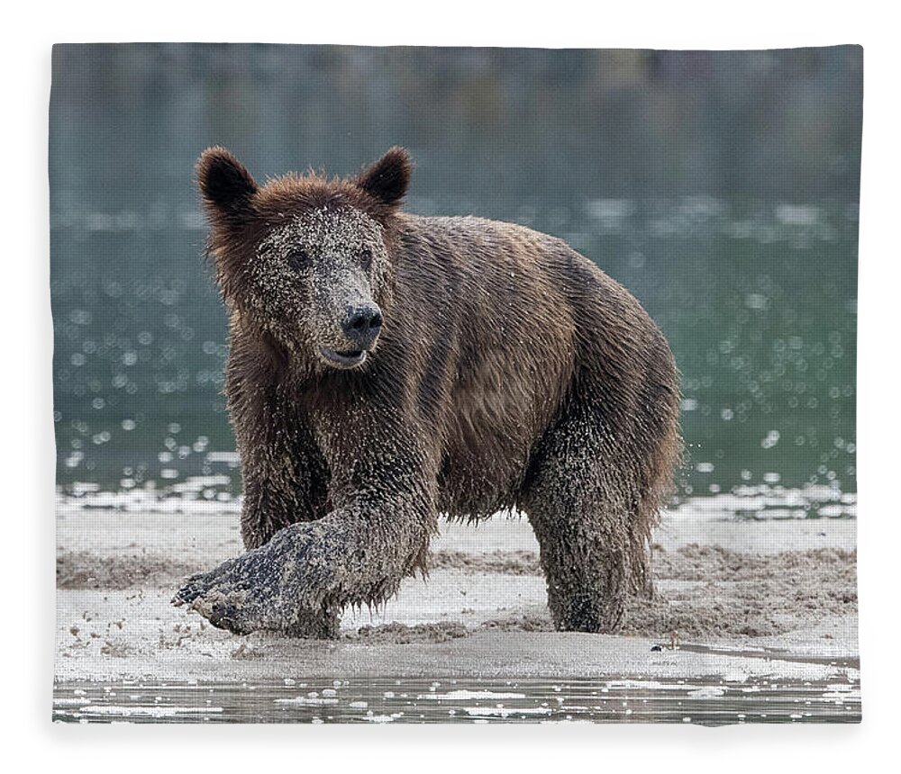 Bear Fleece Blanket featuring the photograph Brown Bear in Pumice by Mark Hunter