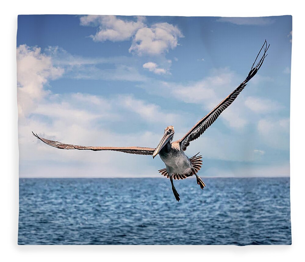 Brown Pelican Fleece Blanket featuring the photograph Brown Pelican Number Three by Endre Balogh
