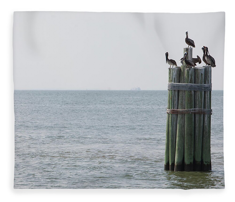 Wooden Post Fleece Blanket featuring the photograph Brown Pelicans Resting On Ocean Pier by Photographer Kris Krüg