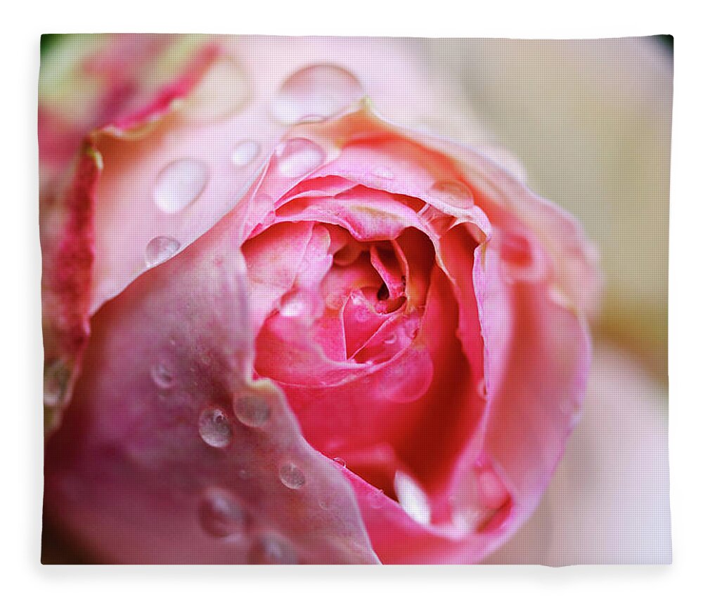 Bud Fleece Blanket featuring the photograph Bud Of Rose Wet Because Of Rain by Glittering Star. A Whisper Of Trees. The Noise Of The Town.