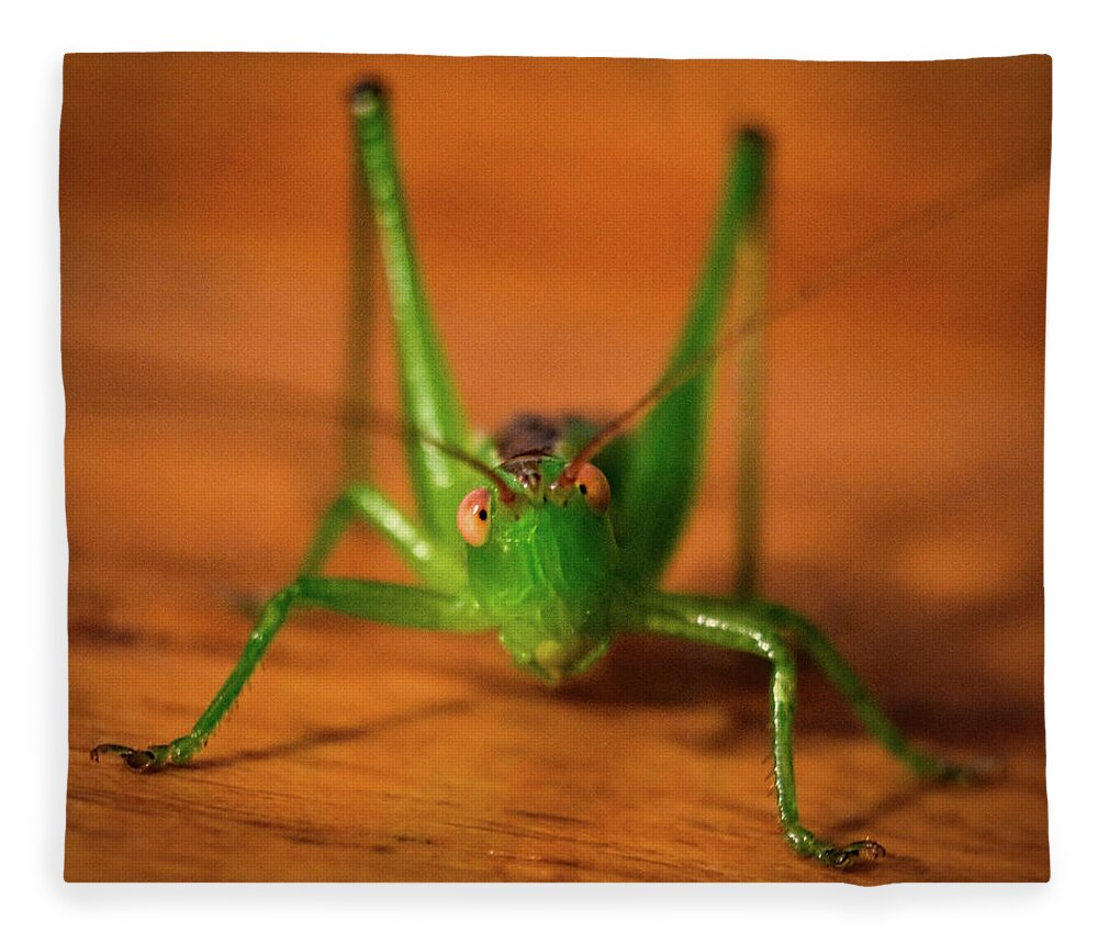 Bug Fleece Blanket featuring the photograph Bug by Michelle Wittensoldner