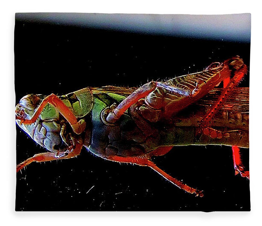 Insects Fleece Blanket featuring the photograph Bugs From OuterSpace by Linda Stern