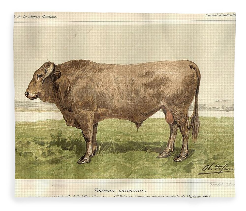 Bull Fleece Blanket featuring the painting Bull of Garonne 1893 by Celestial Images