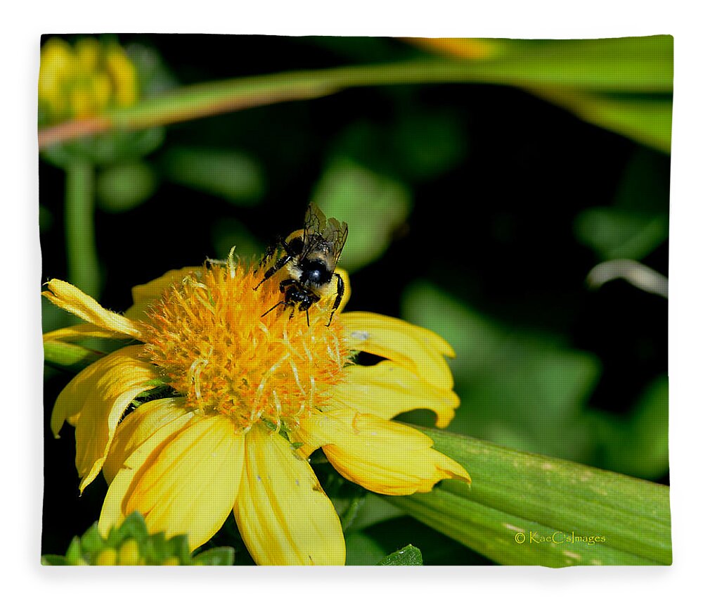 Bee Fleece Blanket featuring the photograph Bumblebee at Work by Kae Cheatham