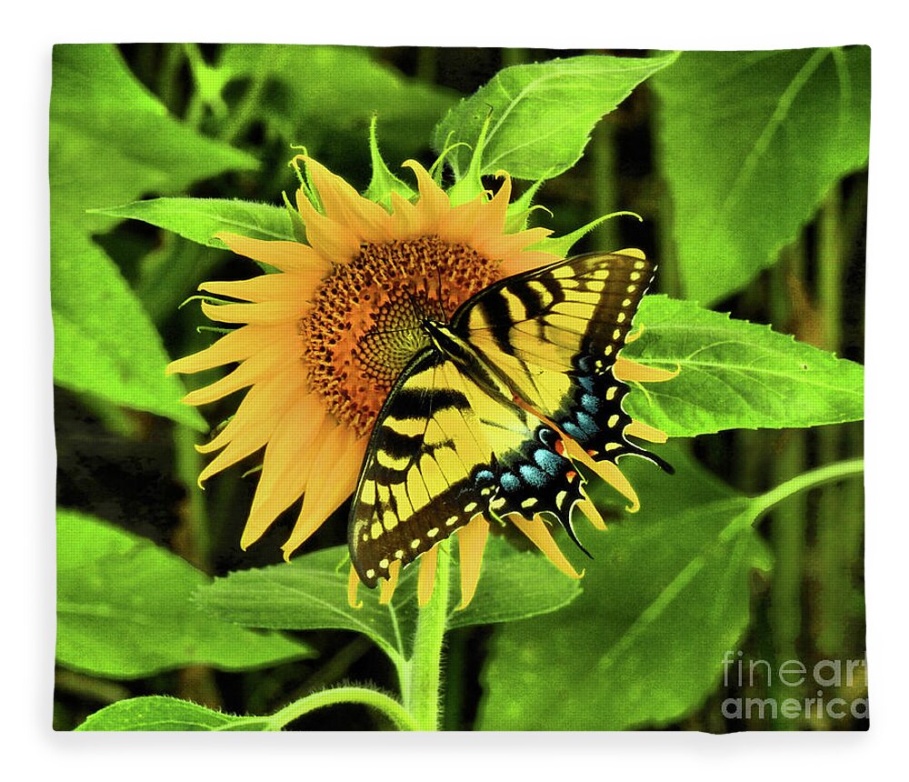 Swallowtail Butterflies Fleece Blanket featuring the photograph Butterflies by Scott Cameron
