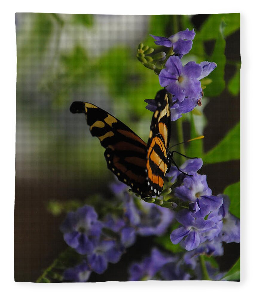 Butterfly Fleece Blanket featuring the photograph Butterfly in Shadow by Vallee Johnson