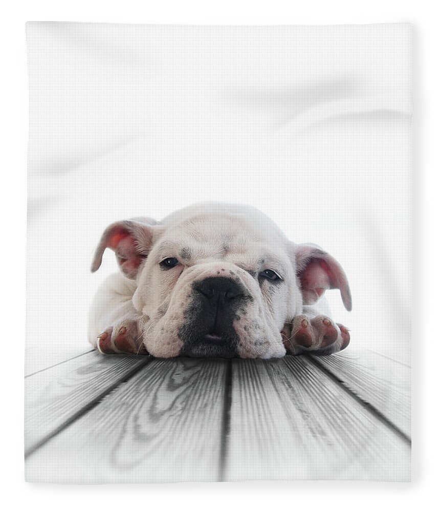 Pets Fleece Blanket featuring the photograph Cachorro Bulldog Ingles by Retales Botijero